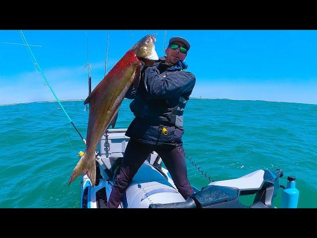COBIA Fishing CAST to CATCH!  |  Sea-Doo