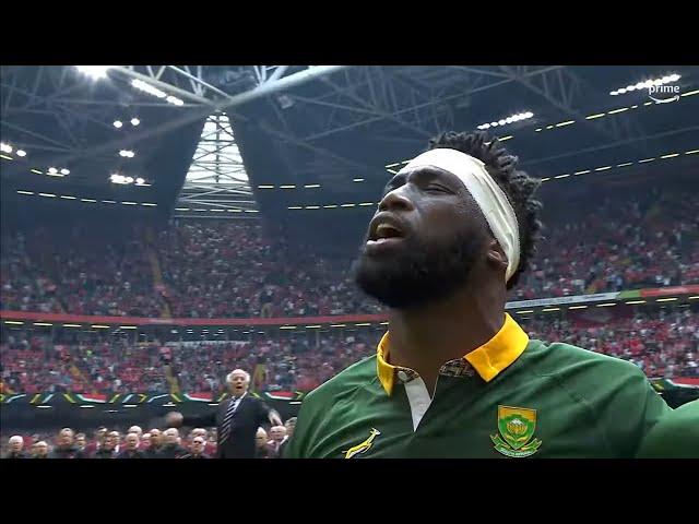 From Injury to Inspiration: Siya Kolisi's Resurgence