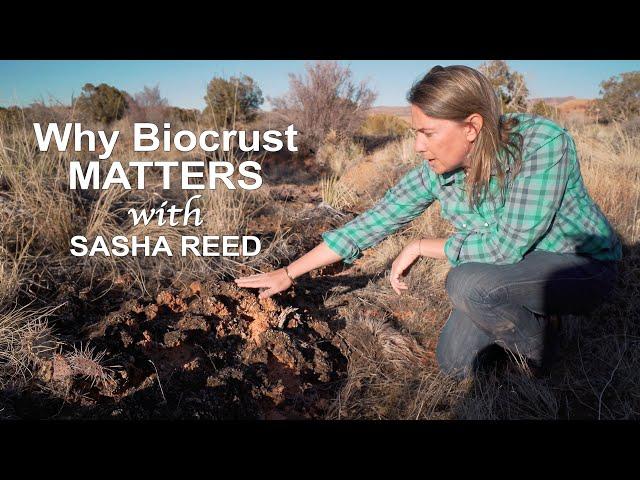 Why Moab's Soil Crusts Matter with Sasha Reed