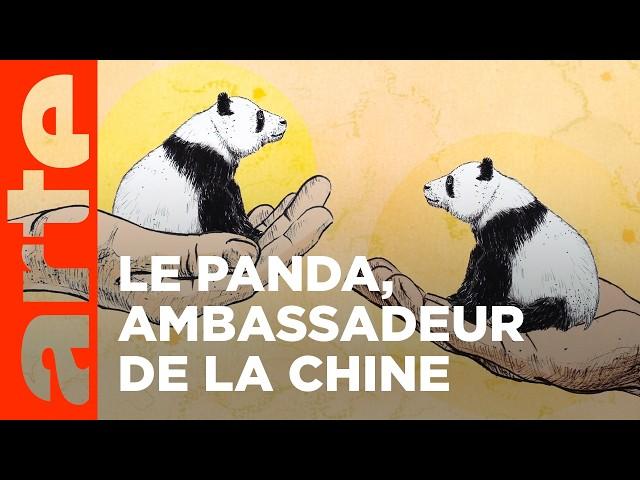 La diplomatie du panda (1/2) | ARTE