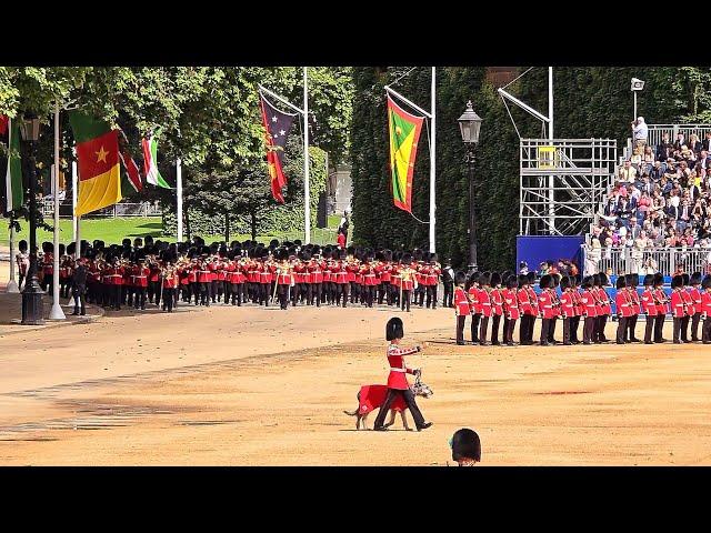 Horse Quits at TROOPING THE COLOUR Colonel's Review at Horse Guards Parade in London