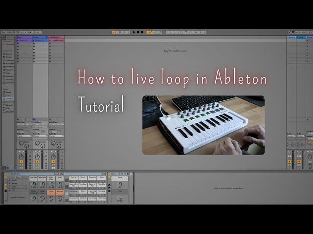 How to Live Loop in Ableton | Looping Tutorial | Arturia MiniLab Keyboard