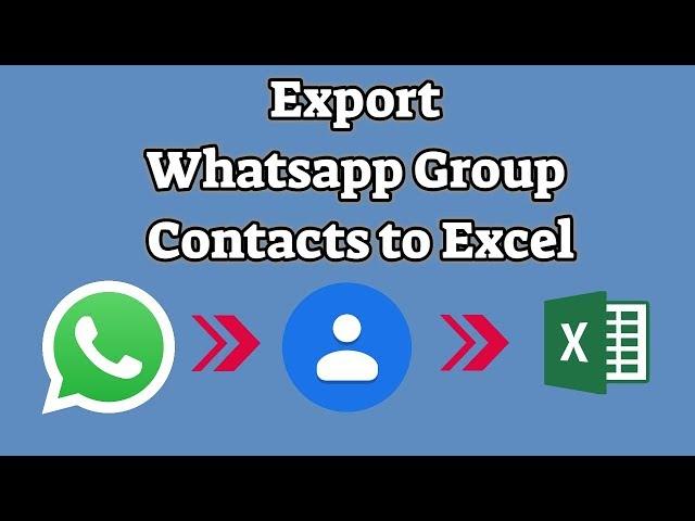 how to extract whatsapp group contacts to excel