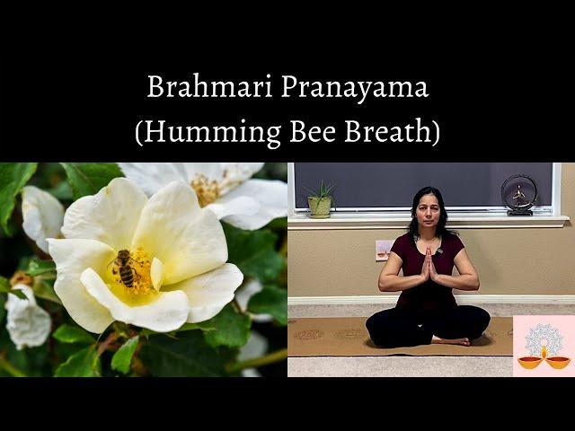 Bhrahmari Pranayama Humming Bee Breath