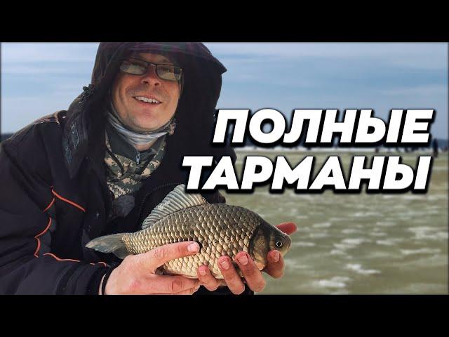 Ловля крупного карася весной на мормышку, последний лед. Тарманы, Тюмень. Рыбалка 2022