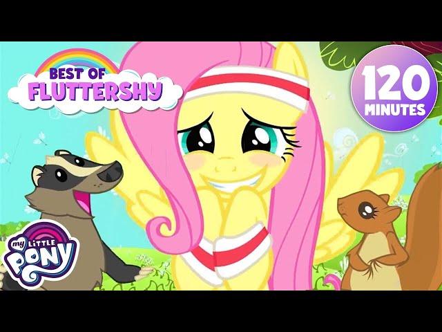 Best of Fluttershy ️ | My Little Pony: Friendship is Magic | BEST Episodes | 2 Hours | MLP