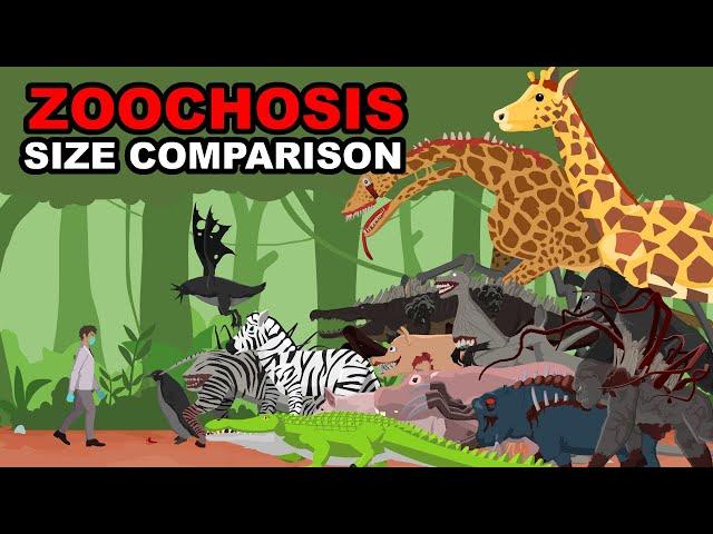 Zoochosis & Normal Animal Size Comparison | Zoochosis Animation