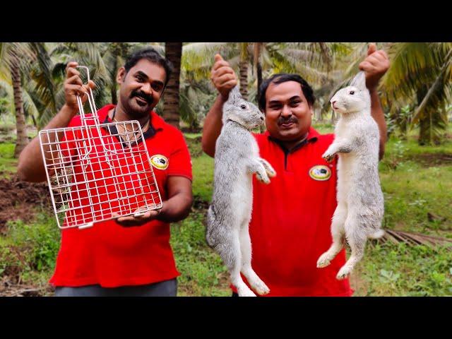 RABBIT BARBECUE | Muyal Barbecue Recipe Village Style Cooking | World Food Tube