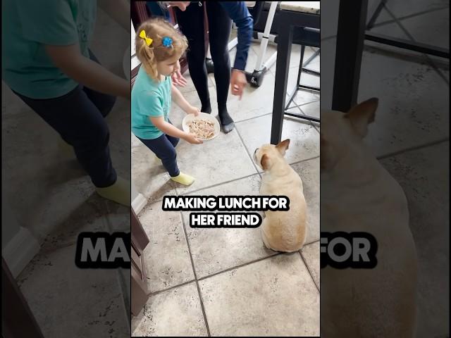 Will he want what she’s serving?  King George the Frenchie #food #dog #chicken #lunch #cute