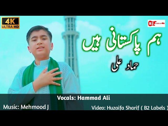 𝟭𝟰 𝗔𝘂𝗴𝘂𝘀𝘁 𝗡𝗲𝘄 𝗦𝗼𝗻𝗴 | Hum Pakistani Hain | Hammad Ali