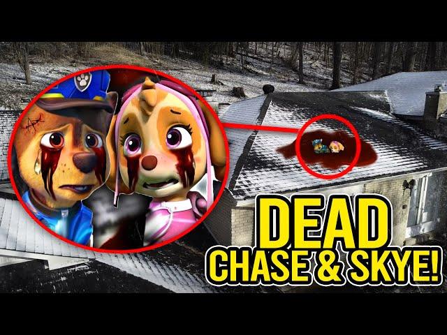 IF YOU SEE DEAD CHASE & SKYE FROM PAW PATROL, RUN!! (ON CAMERA)