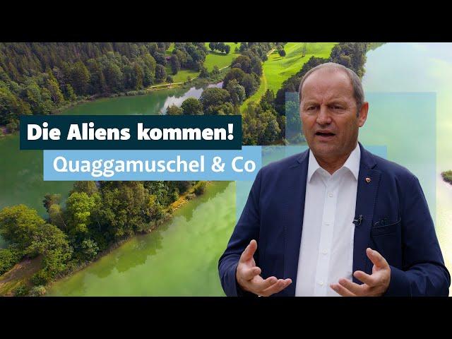 Die Aliens kommen! Quaggamuschel & Co