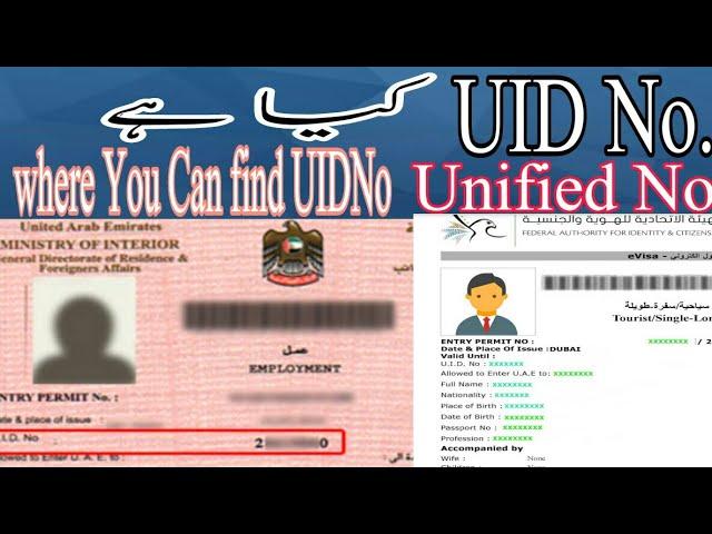 What is Unified No on UAE Visa|what is UID NO IN UAE Visa