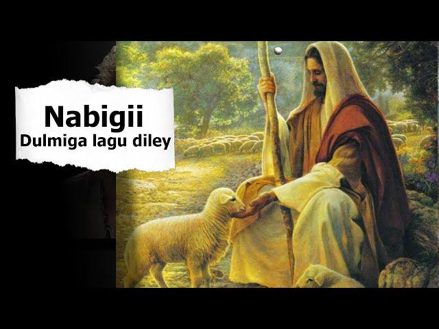 Nabi Dulmi Lagu Diley | Qisada Dilkii Nabi Yaxye