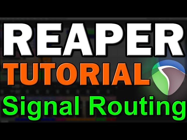 Reaper DAW Tutorial (Part 3) – Track Setup and Signal Routing