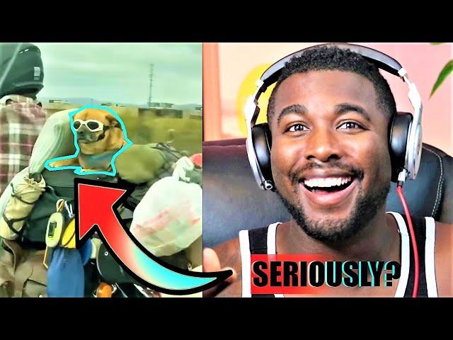 Try Not To Laugh Meme Challenge | Funny Reaction | Blahzaye Vibe Check