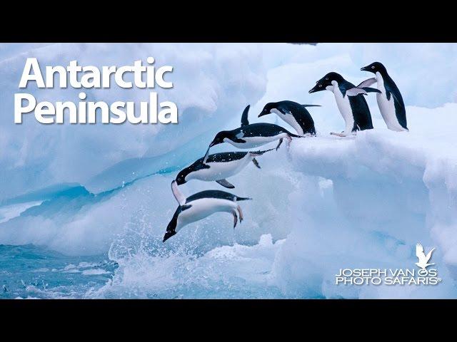 Antarctic Peninsula Photography Tour