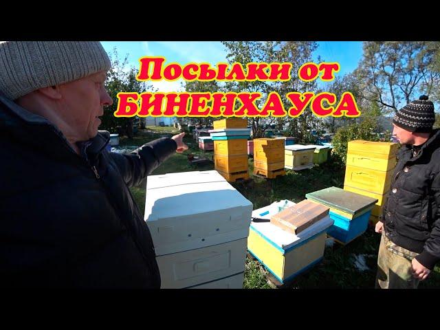 ПОЛУЧИЛИ ПОСЫЛКИ ОТ БИНЕНХАУСА, УЛЕЙ И КОМПЛЕКТУЮЩИЕ К НЕМУ.