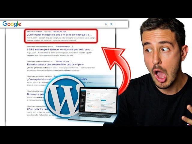 SEO para Wordpress [Actualizado a 2023]