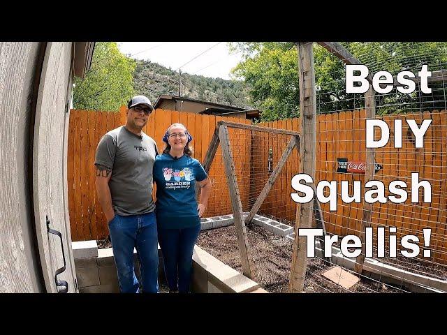 DIY Squash Trellis