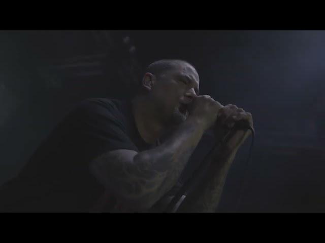 DOWN    Amplified Live   4K