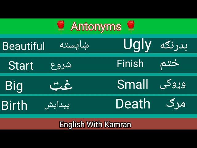 English Grammar In Pashto | English In Pashto.| What is antonyms in Pashto.