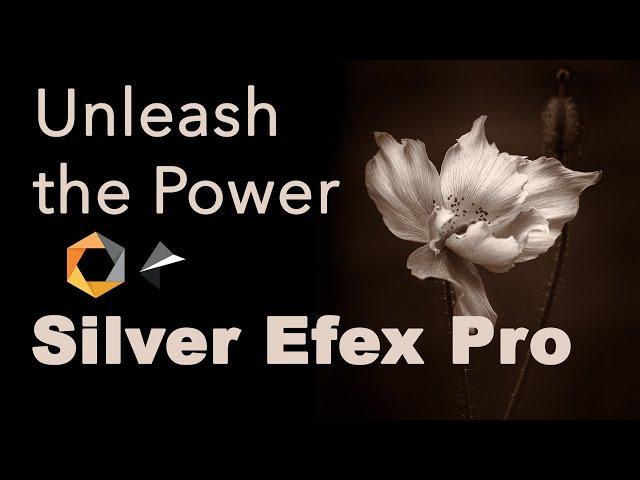 SILVER EFEX PRO 2 (Unleash the Power) Full Edit Tutorial