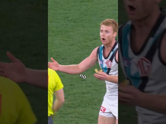 no no no no mate #afl #football #footy #willemdrew #claytonoliver