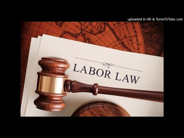 Labour Law - Basic conditions of employment act- MRL3702 - - P5 - P8