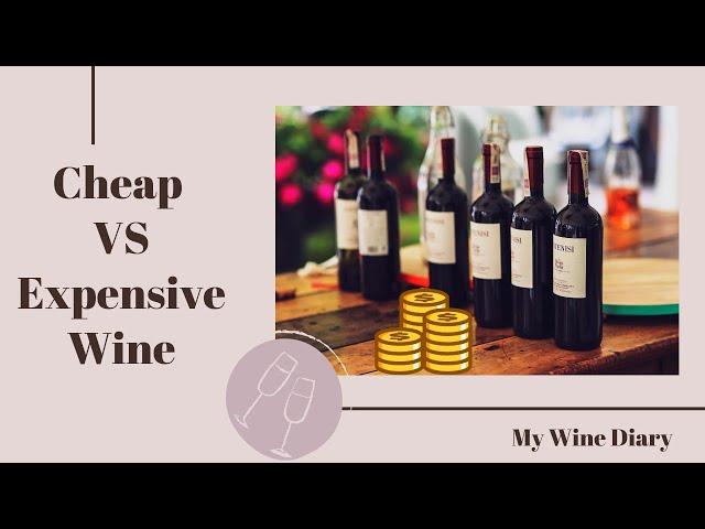 CHEAP VS EXPENSIVE WINE