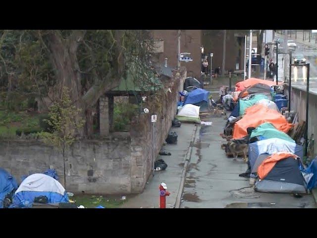 Encampment behind Hamilton city hall told to vacate