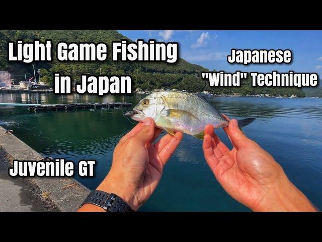 Japanese Wind Technique - Light Game Fishing for Juvenile GT in Japan