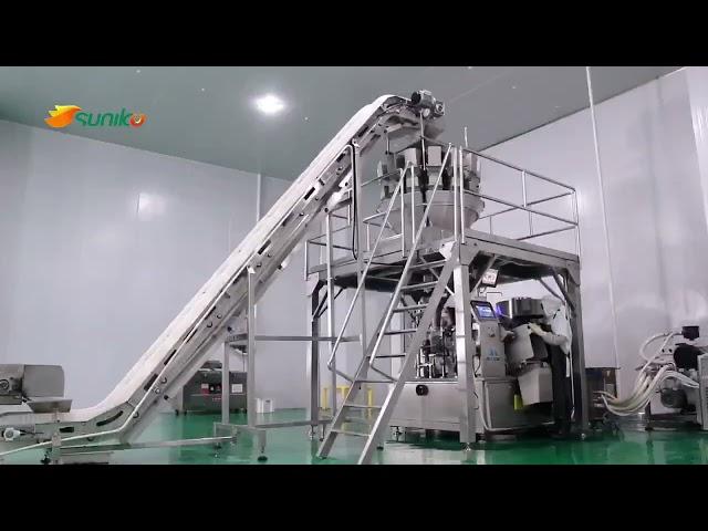 Frozen fruit  premade pouch Vacuum packaging machine