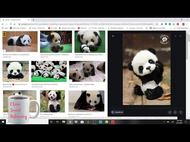 Lets Make a Panda SVG  in inkscape to Use iN Cricut Design Space