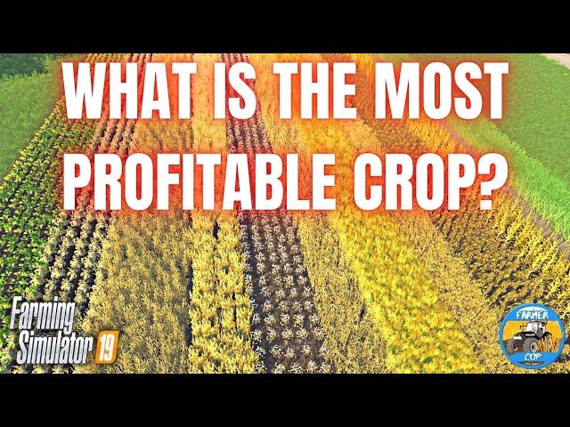 WHAT CROP MAKES MORE MONEY? - Farming Simulator 19 Test Video