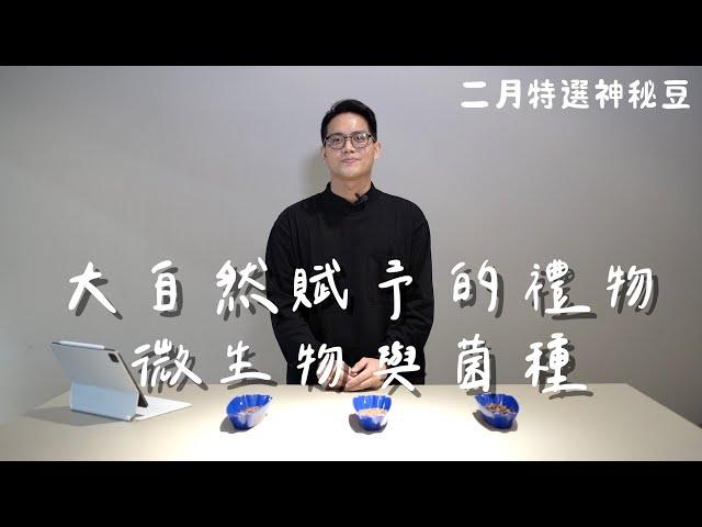 【2022二月神秘豆】大自然賦予的禮物－微生物與菌種｜19烘豆研究室