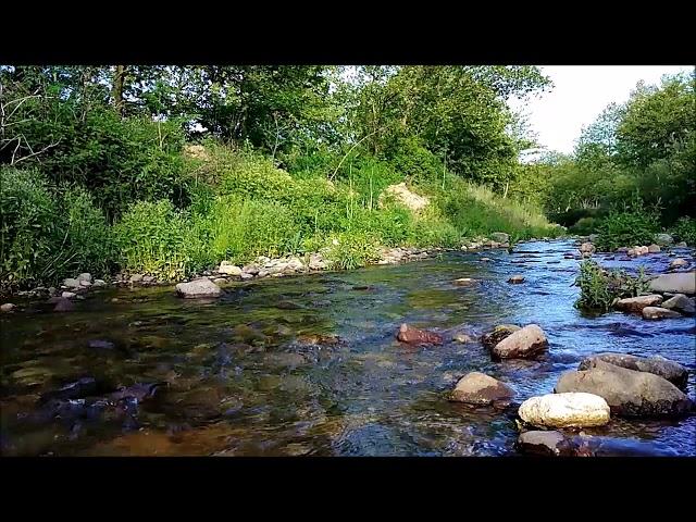 SOOTHING WATER SOUND, NİGHTİNGALE BİRD SOUND Relaxing Stream River Sound, Nature Sounds, Sleep Music