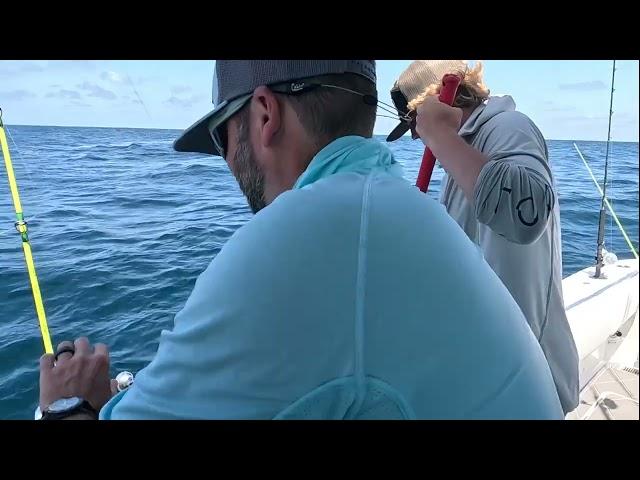 Massive Kingfish Catch