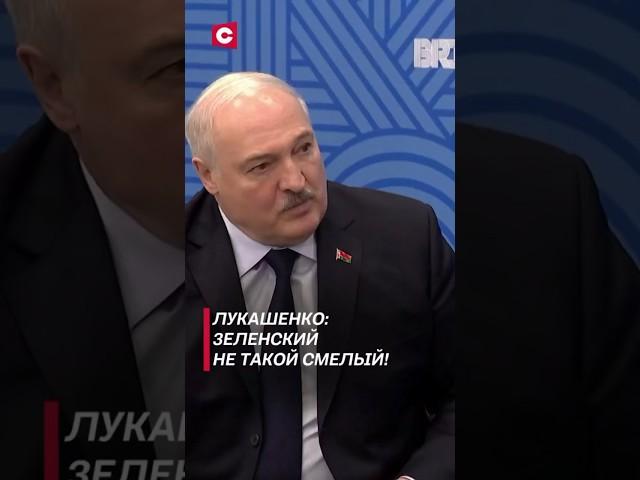 Лукашенко: Зеленский не такой смелый! #лукашенко #политика #новости #зеленский #украина