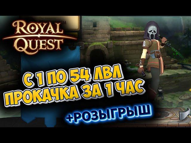 КАЧ С 1 ПО 54 ЛВЛ ЗА 1 ЧАС В ROYAL QUEST + РОЗЫГРЫШ 90 СУРГУЧЕЙ