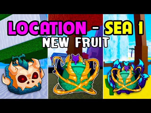 NEW All Locations Fruit Spawn in First Sea (New Update) - Actually Spawn in Blox Fruits