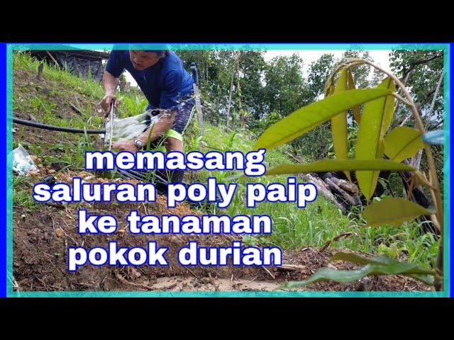 Memasang poly paip di #GardenStanLy