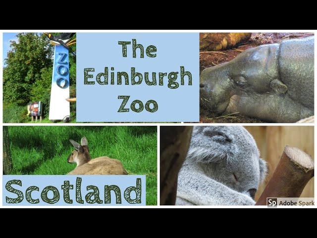 A Visit to The Edinburgh Zoo, Scotland