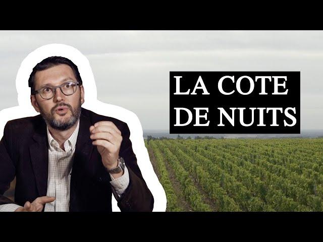 La Minute Chanzy #16 - LA COTE DE NUITS - THE COTE DE NUITS