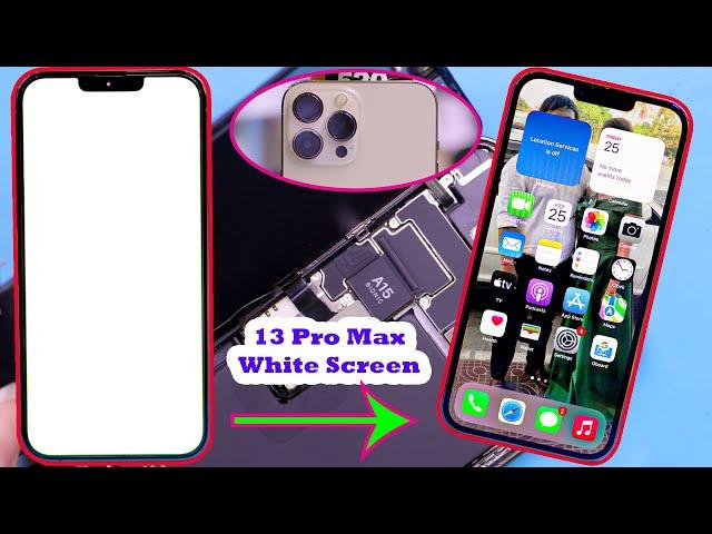 iPhone 13 Pro Max White Screen | How To Fix iPhone 13 Pro Max Screen