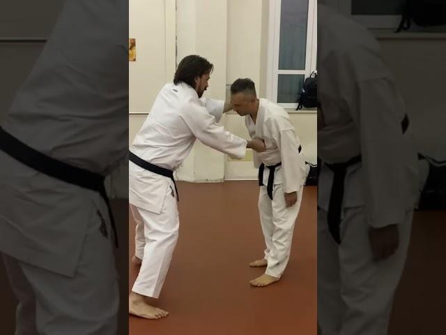 Tekki Sandan bunkai turning NAKADAKAKEN/SEIKEN #budo #karatedo #karatedoshotokai #shotokai #kyusho