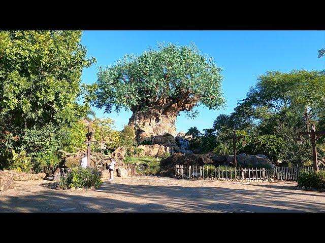 Disney's Animal Kingdom 2020 Complete Walkthrough 4K Tour | Walt Disney World Resort Orlando Florida