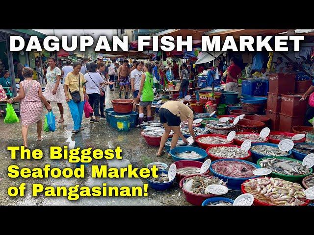 Dagupan Fish Market Tour 2024 | Pangasinan’s Fresh Seafood and Amazing Prices! | Philippines