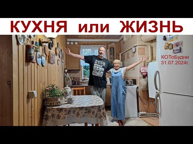 Кухня или Жизнь, часть 1-ая или КОТоБудни от 31 июля 2024 г.