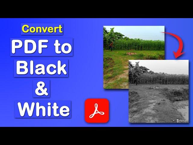 How to Convert pdf to black and white using Adobe Acrobat Pro DC